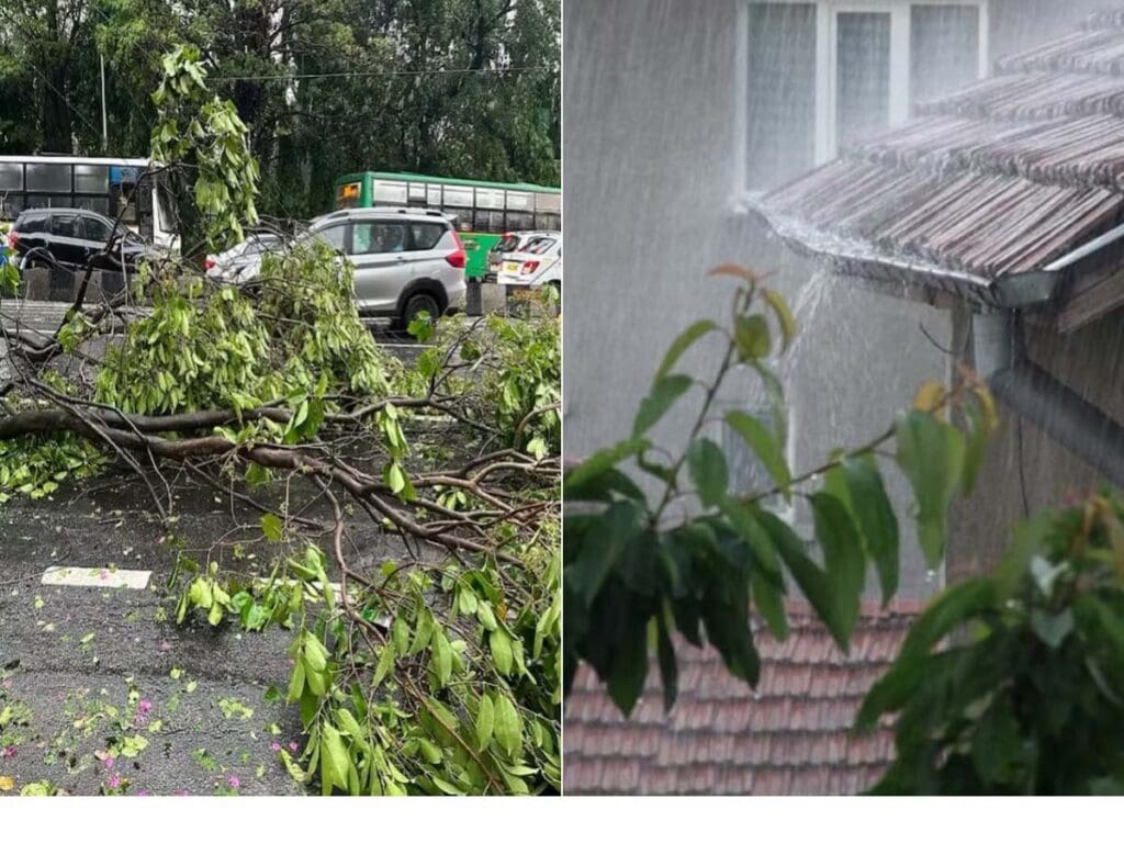 Bengaluru Rain to Continue, Cyclonic Winds Near Tamil Nadu Brew More Trouble | Advisory Here