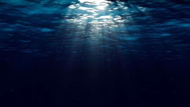 New ‘significant’ deep-sea discovery leaves scientists stunned: ‘They are pristine’ New ‘significant’ deep-sea discovery leaves scientists stunned: ‘They are pristine’