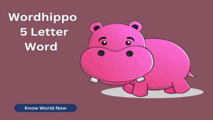 Wordhippo 5 Letter Words Know Everything This