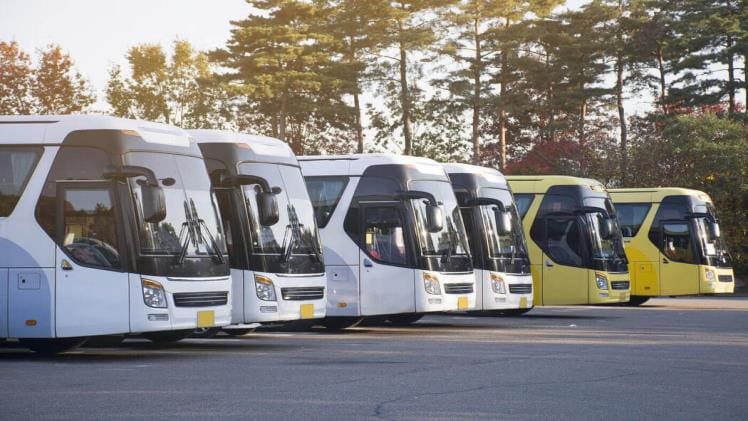 Good and Affordable Bus Travel from Bangalore to Chennai with Zingbus